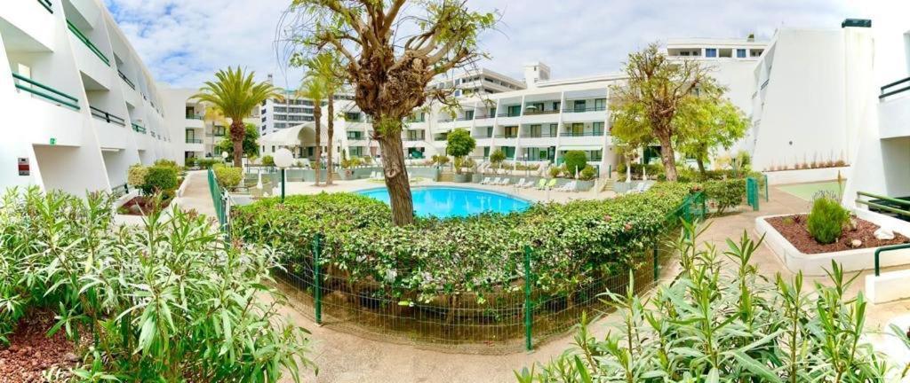 Ferienwohnung Optimist Playa De Las Americas Exterior foto